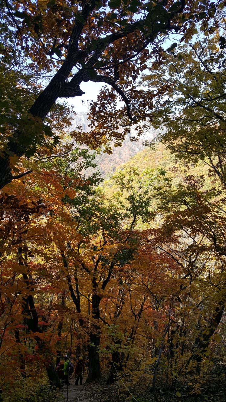 가을, 꼭 가봐야 할 명소 5곳